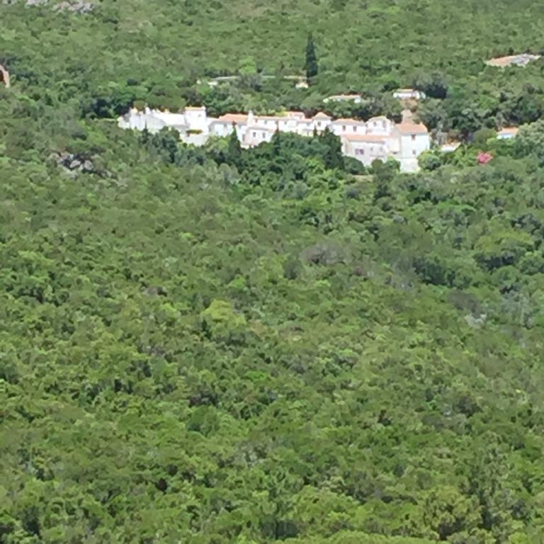 הוילה פורטיניו דא אראבידה Casa Do Farol Da Arrabida מראה חיצוני תמונה