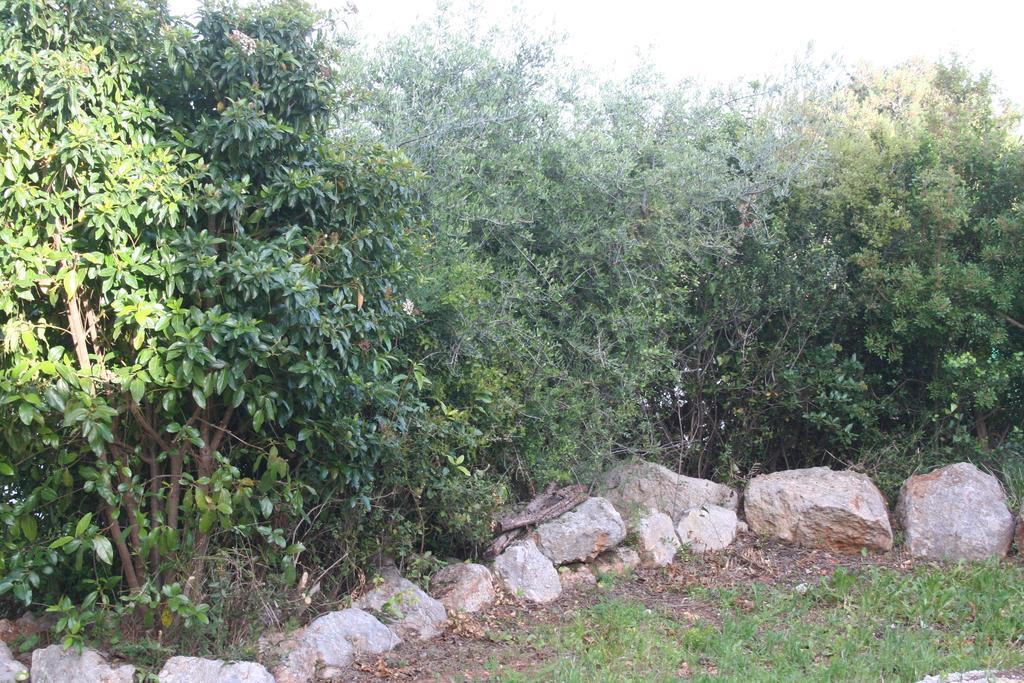 הוילה פורטיניו דא אראבידה Casa Do Farol Da Arrabida מראה חיצוני תמונה
