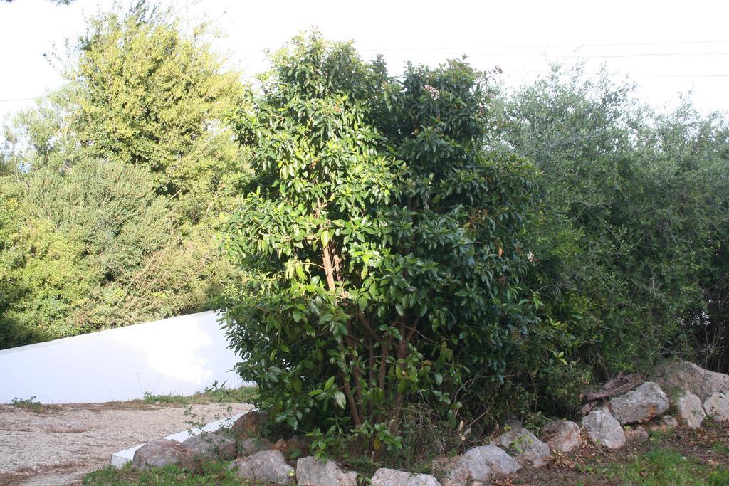 הוילה פורטיניו דא אראבידה Casa Do Farol Da Arrabida מראה חיצוני תמונה