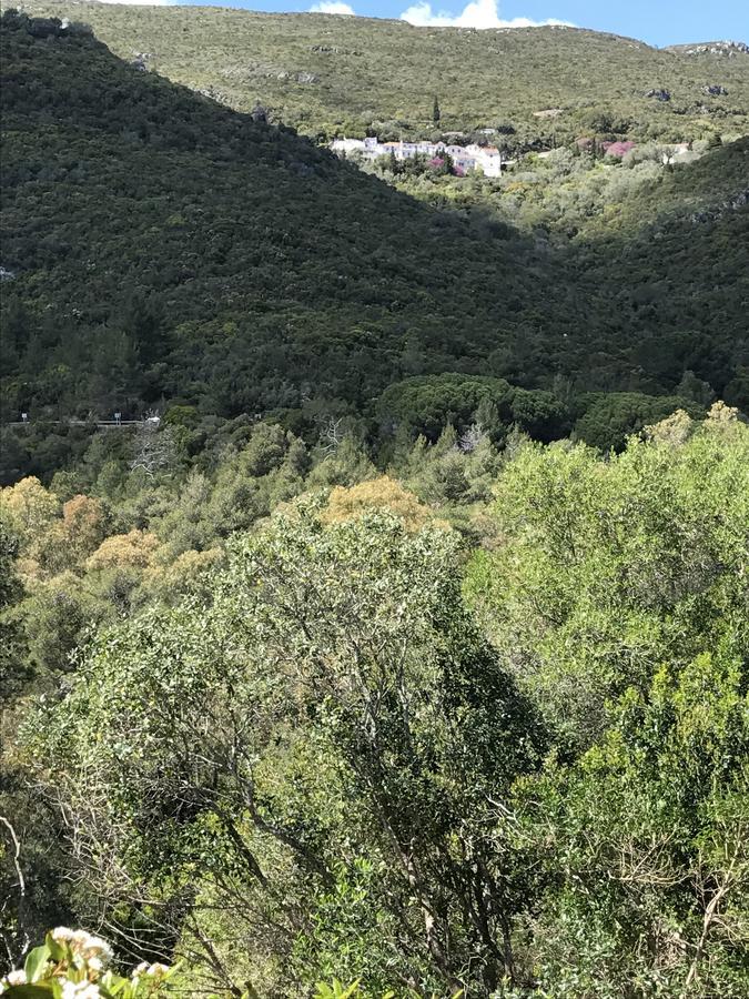 הוילה פורטיניו דא אראבידה Casa Do Farol Da Arrabida מראה חיצוני תמונה