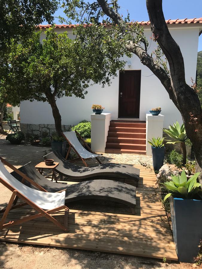 הוילה פורטיניו דא אראבידה Casa Do Farol Da Arrabida מראה חיצוני תמונה